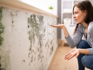 How to Get Rid of Mold on Drywall | San Gabriel CA